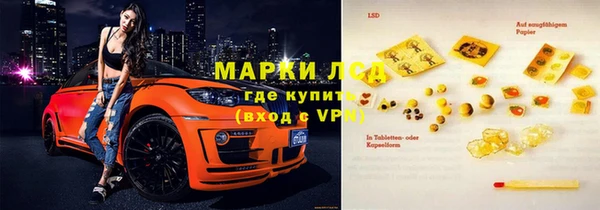 прущие грибы Волосово