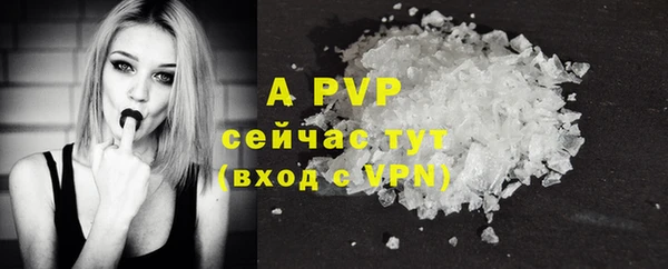 прущие грибы Волосово