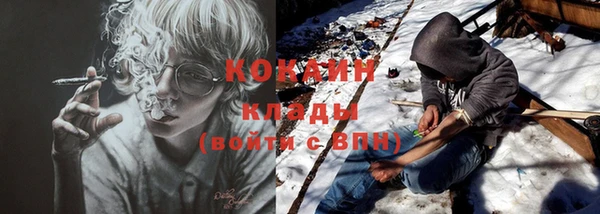 дживик Володарск