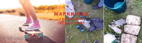 прущие грибы Волосово
